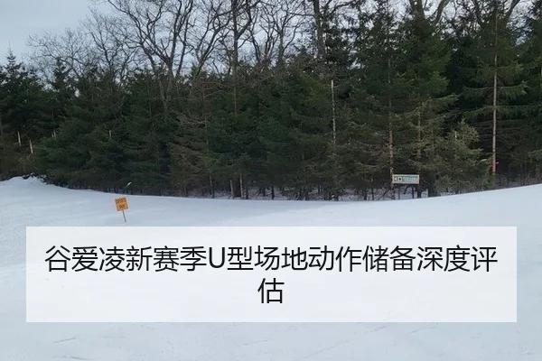 gu-ai-ling-xin-sai-ji-xing-chang-di-dong-zuo-chu-bei-shen-du-ping-gu-2-825.jpg